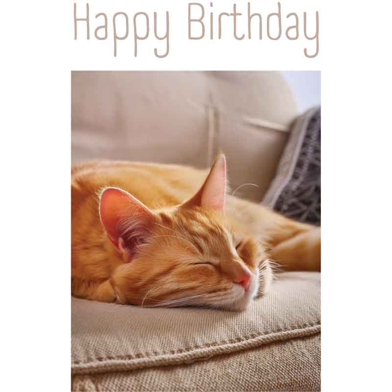 C50 GINGER CAT BIRTHDAY CARD 6S