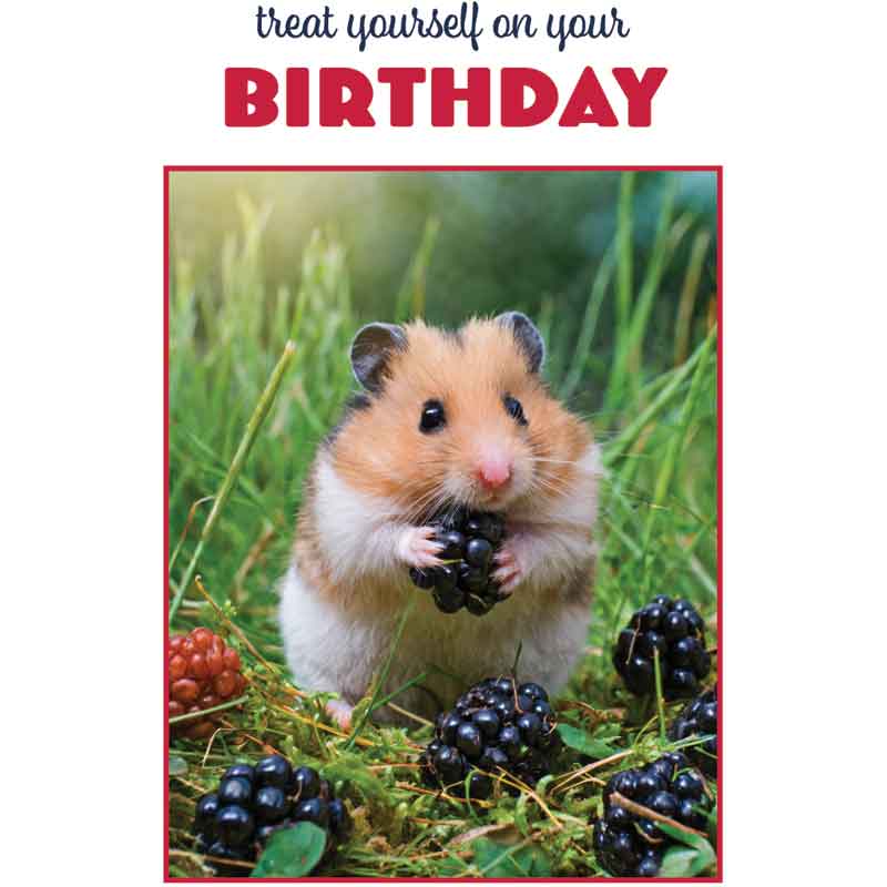 C50 HAMSTER BIRTHDAY CARD 6S