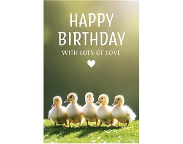 C50 DUCKLINGS BIRTHDAY CARD 6S