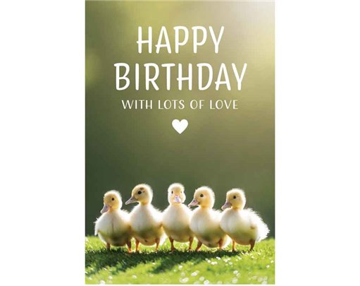 C50 DUCKLINGS BIRTHDAY CARD 6S