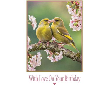 C50 KISSING BIRDS BIRTHDAY CARD 6S