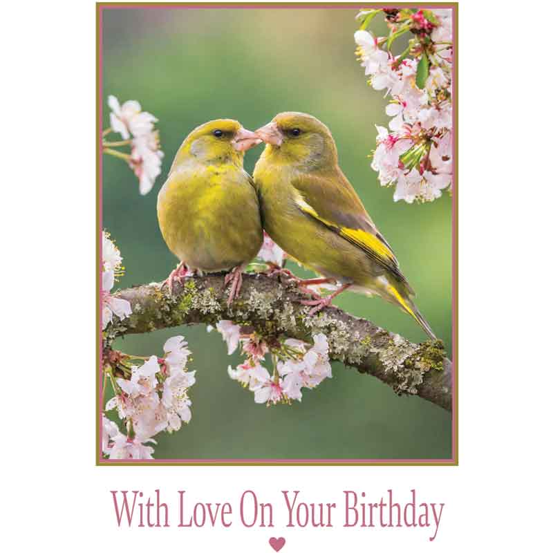 C50 KISSING BIRDS BIRTHDAY CARD 6S