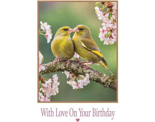 C50 KISSING BIRDS BIRTHDAY CARD 6S