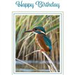 C50 KINGFISHER BIRTHDAY CARD 6S
