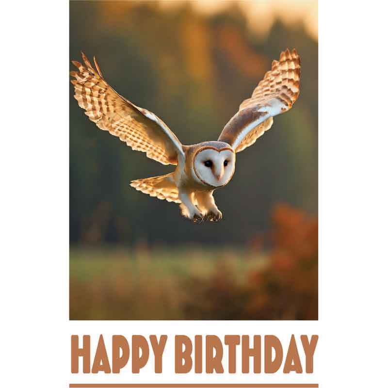 C50 OWL BIRTHDAY CARD 6S