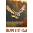 C50 OWL BIRTHDAY CARD 6S