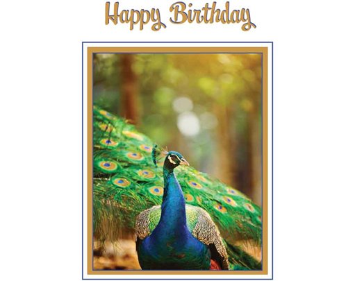 C50 PEACOCK BIRTHDAY CARD 6S