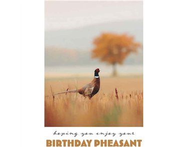 C50 PHEASANT BIRTHDAY CARD 6S