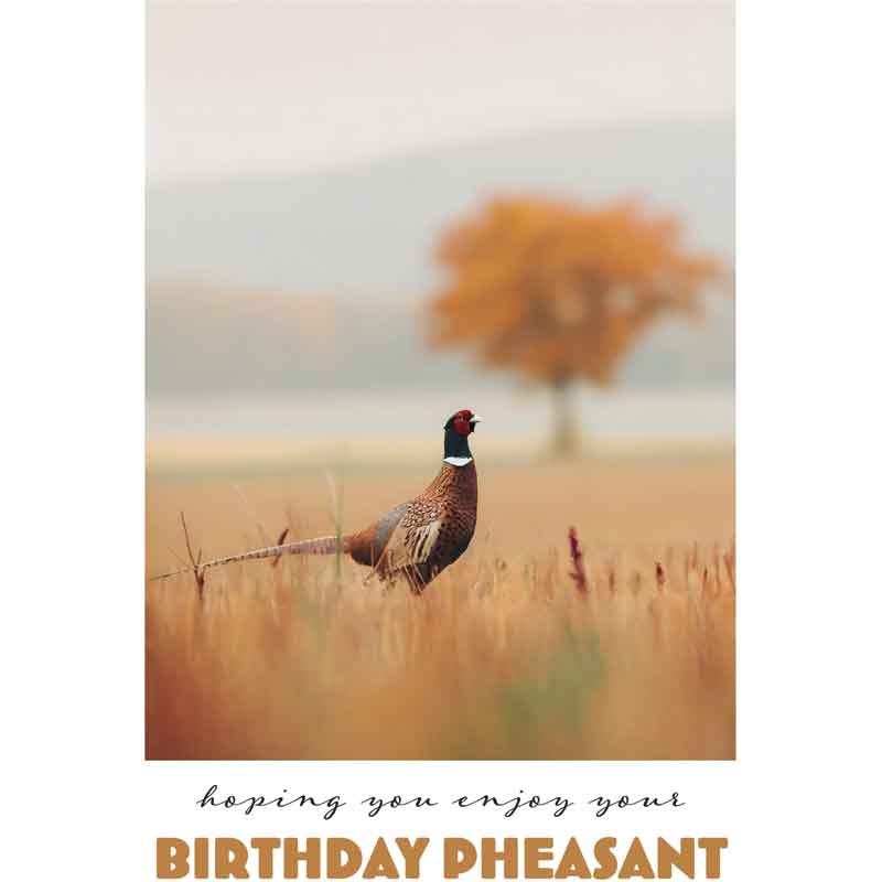 C50 PHEASANT BIRTHDAY CARD 6S