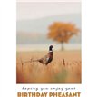 C50 PHEASANT BIRTHDAY CARD 6S