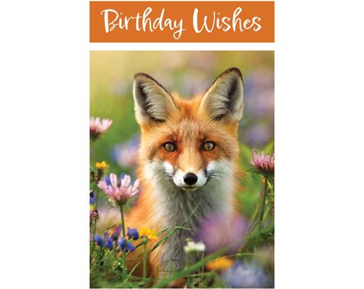 C50 FOX BIRTHDAY CARD 6S
