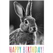 C50 HARE BIRTHDAY CARD 6S