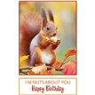 C50 SQUIRREL BIRTHDAY CARD 6S