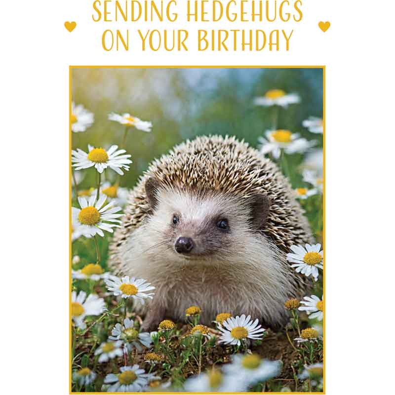 C50 HEDGEHOG BIRTHDAY CARD 6S