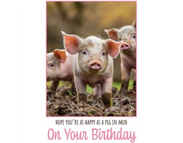 C50 PIGLETS BIRTHDAY CARD 6S