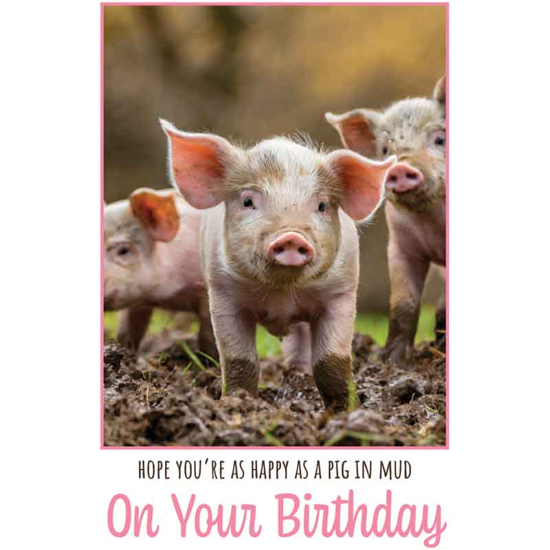 C50 PIGLETS BIRTHDAY CARD 6S