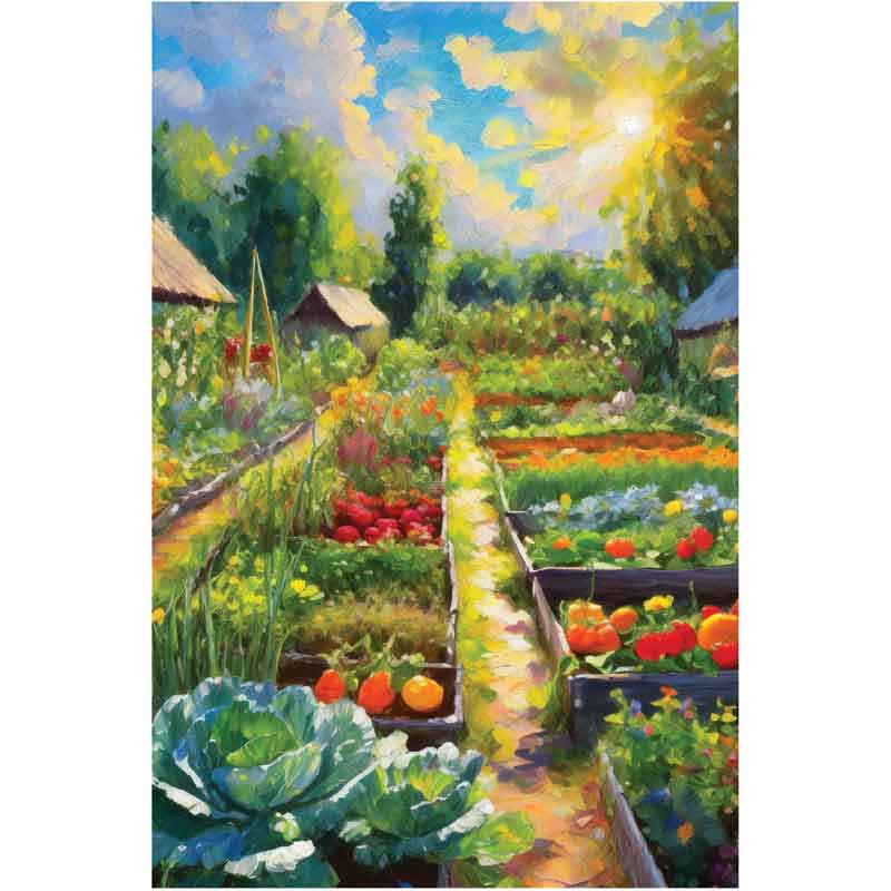 C50 ALLOTMENT BLANK CARD 6S