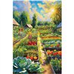 C50 ALLOTMENT BLANK CARD 6S