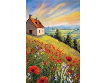 C50 POPPIES ON A COTTAGE HILL BLANK CARD 6S
