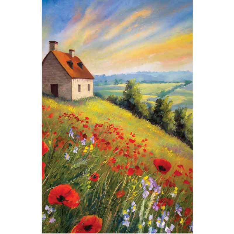 C50 POPPIES ON A COTTAGE HILL BLANK CARD 6S