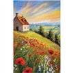 C50 POPPIES ON A COTTAGE HILL BLANK CARD 6S
