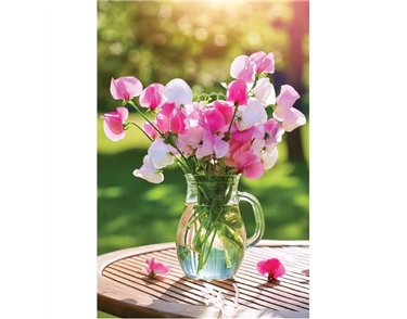 C50 VASE OF SWEET PEAS BLANK CARD 6S