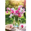 C50 VASE OF SWEET PEAS BLANK CARD 6S