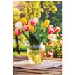 C50 VASE OF TULIPS BLANK CARD 6S