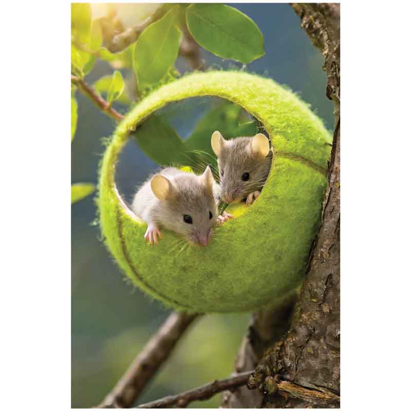 C50 MICE IN A TENNIS BALL BLANK CARD 6S