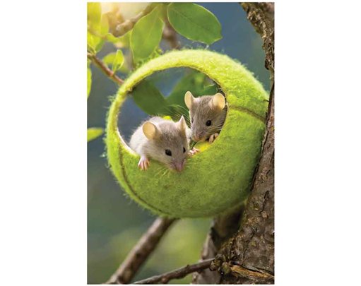 C50 MICE IN A TENNIS BALL BLANK CARD 6S