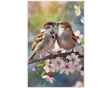 C50 KISSING BIRDS BLANK CARD 6S