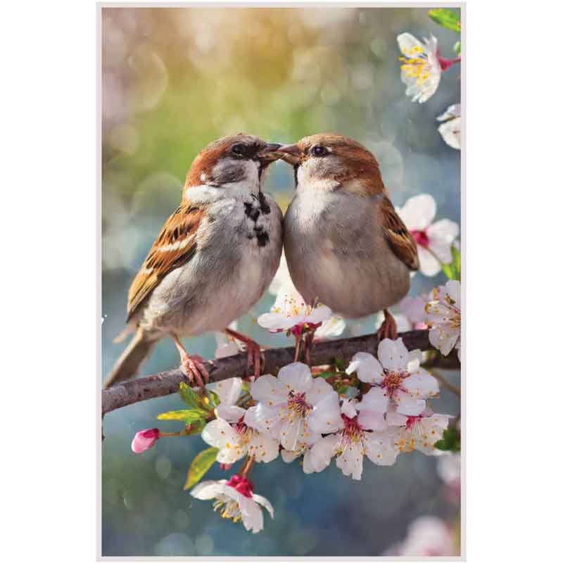 C50 KISSING BIRDS BLANK CARD 6S