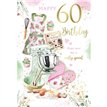 C60 AGE 60 FEMALE BIRTHDAY KINGFISHER 6S