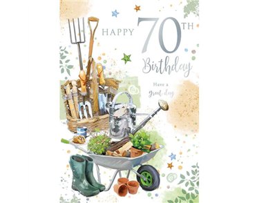 C60 AGE 70 MALE BIRTHDAY KINGFISHER 6S