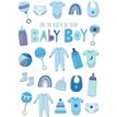 C50 BABY BOY KINGFISHER 6S