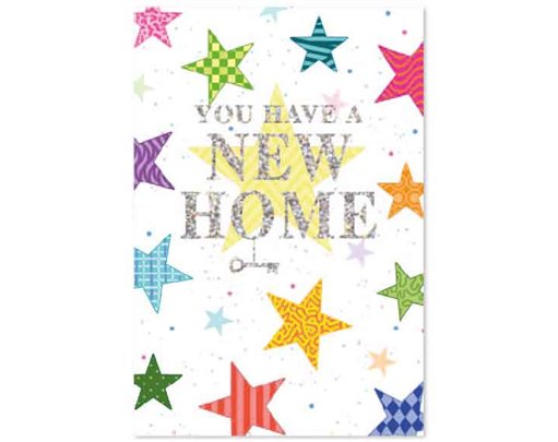 C50 CONTEMPORARY NEW HOME SIMON ELVIN 6S