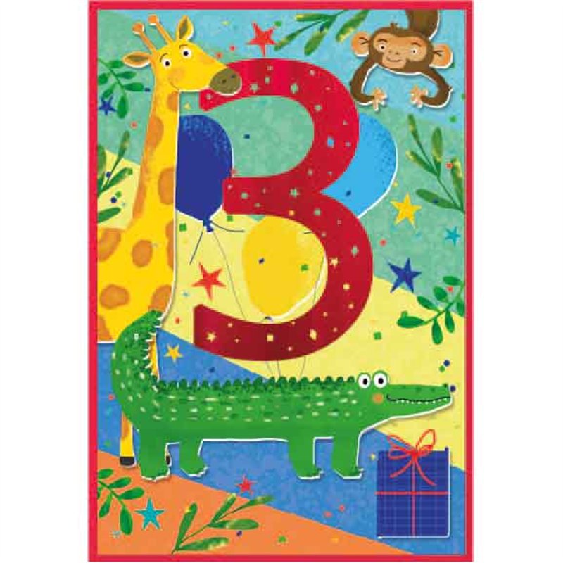 C50 JUVENILE BOY 3RD BIRTHDAY SIMON ELVIN 6S