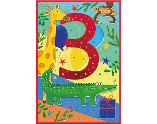 C50 JUVENILE BOY 3RD BIRTHDAY SIMON ELVIN 6S