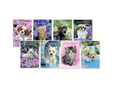 C50 WAGS & WHISKERS BIRTHDAY ASSORTMENT SIMON ELVIN 6S