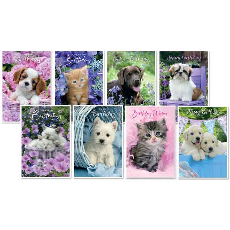 C50 WAGS & WHISKERS BIRTHDAY ASSORTMENT SIMON ELVIN 6S
