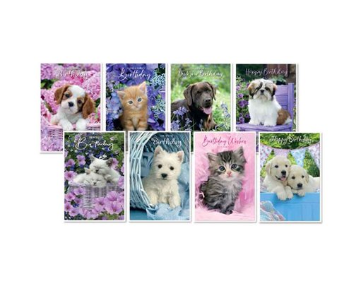 C50 WAGS & WHISKERS BIRTHDAY ASSORTMENT SIMON ELVIN 6S