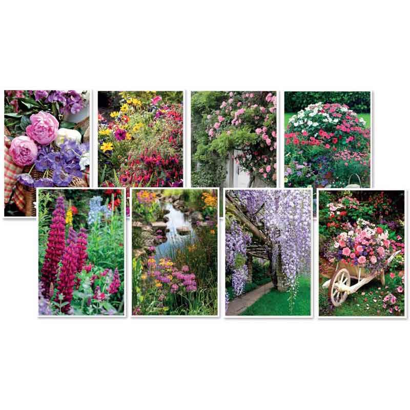 C50 IN THE GARDEN BLANK ASSORTMENT 6S