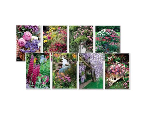 C50 IN THE GARDEN BLANK ASSORTMENT 6S