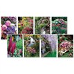 C50 IN THE GARDEN BLANK ASSORTMENT 6S