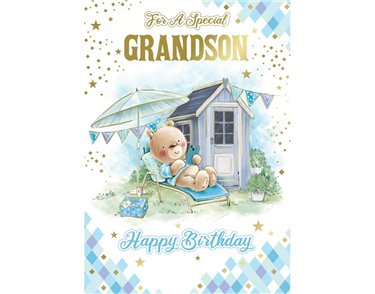 C50 CUTE GRANDSON SILVERLINE 12S