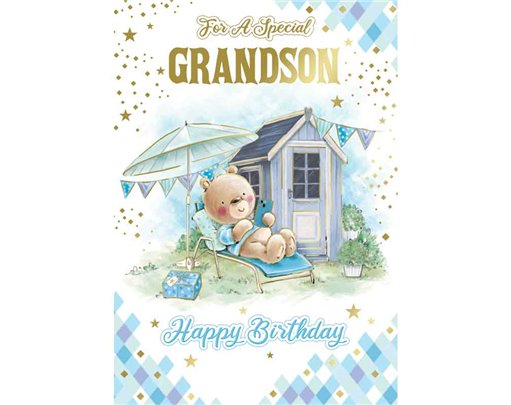 C50 CUTE GRANDSON SILVERLINE 12S