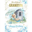 C50 CUTE GRANDSON SILVERLINE 12S