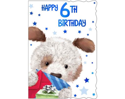 C50 CUTE MALE AGE 6 BOY OOTB 6S