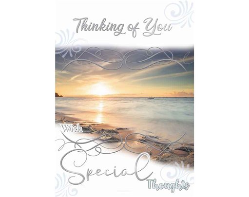 C50 TRAD FEMALE THINKING OF YOU SILVERLINE 12S