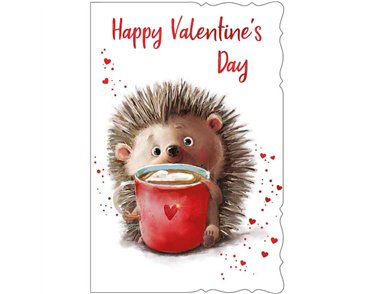 C75-I CUTE MALE OPEN VALENTINES 6S